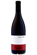 Markowitsch, Pinot Noir  Carnutum 2011